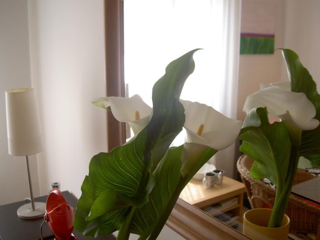 A Casa Romar Bed & Breakfast Torino Dış mekan fotoğraf