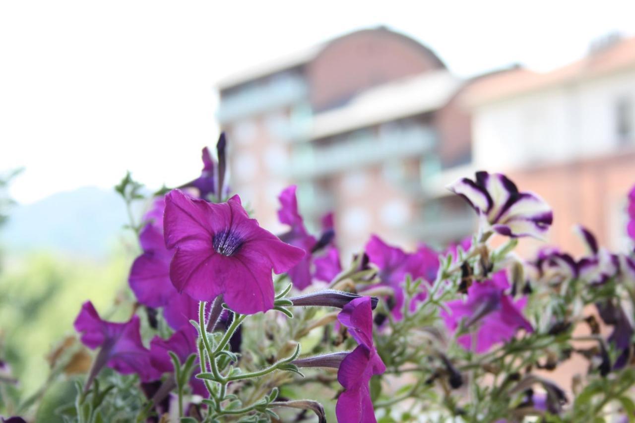 A Casa Romar Bed & Breakfast Torino Dış mekan fotoğraf